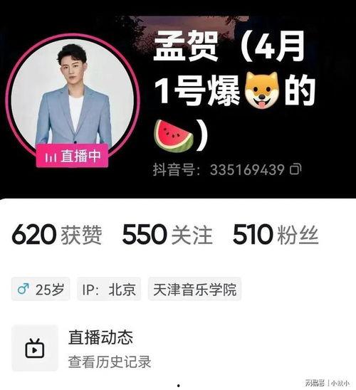 最新爆料郭夏视频大全集,揭秘娱乐圈背后的风云变幻